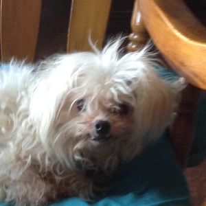 Meet your Posher, Katy